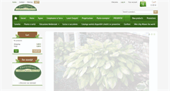 Desktop Screenshot of floricolturalampugnani.it
